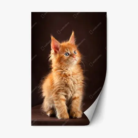 Repositionierbarer Aufkleber niedliches rotes kätzchenportrait – Pixers®