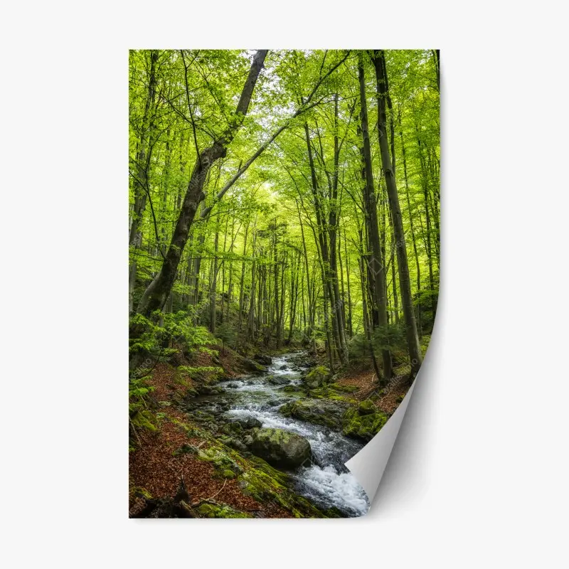 Repositionierbarer Aufkleber ruhiger grüner waldbach