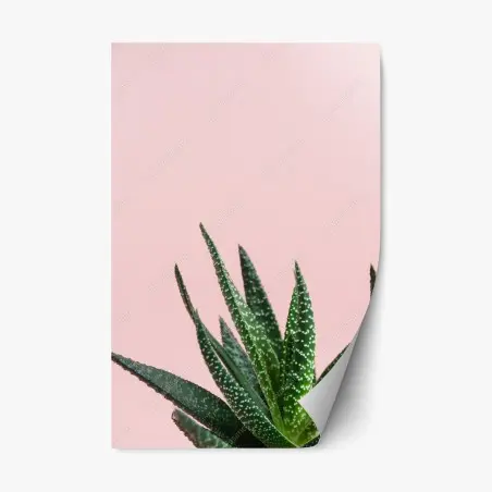 Repositionierbarer Aufkleber grüner aloes auf rosa hintergrund – Pixers®