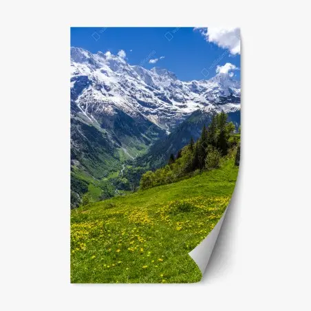 Repositionierbarer Aufkleber alpwiese im frühling vor schneebedeckten gipfeln – Pixers®