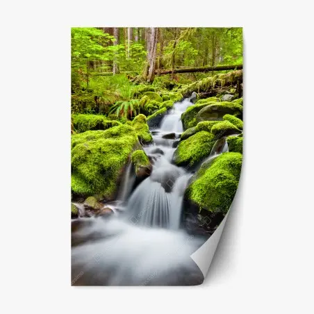 Repositionierbarer Aufkleber moosbedeckter bach bei Sol Duc Falls – Pixers®