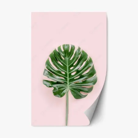 Repositionierbarer Aufkleber monstera-blatt auf pastell-rosa hintergrund – Pixers®