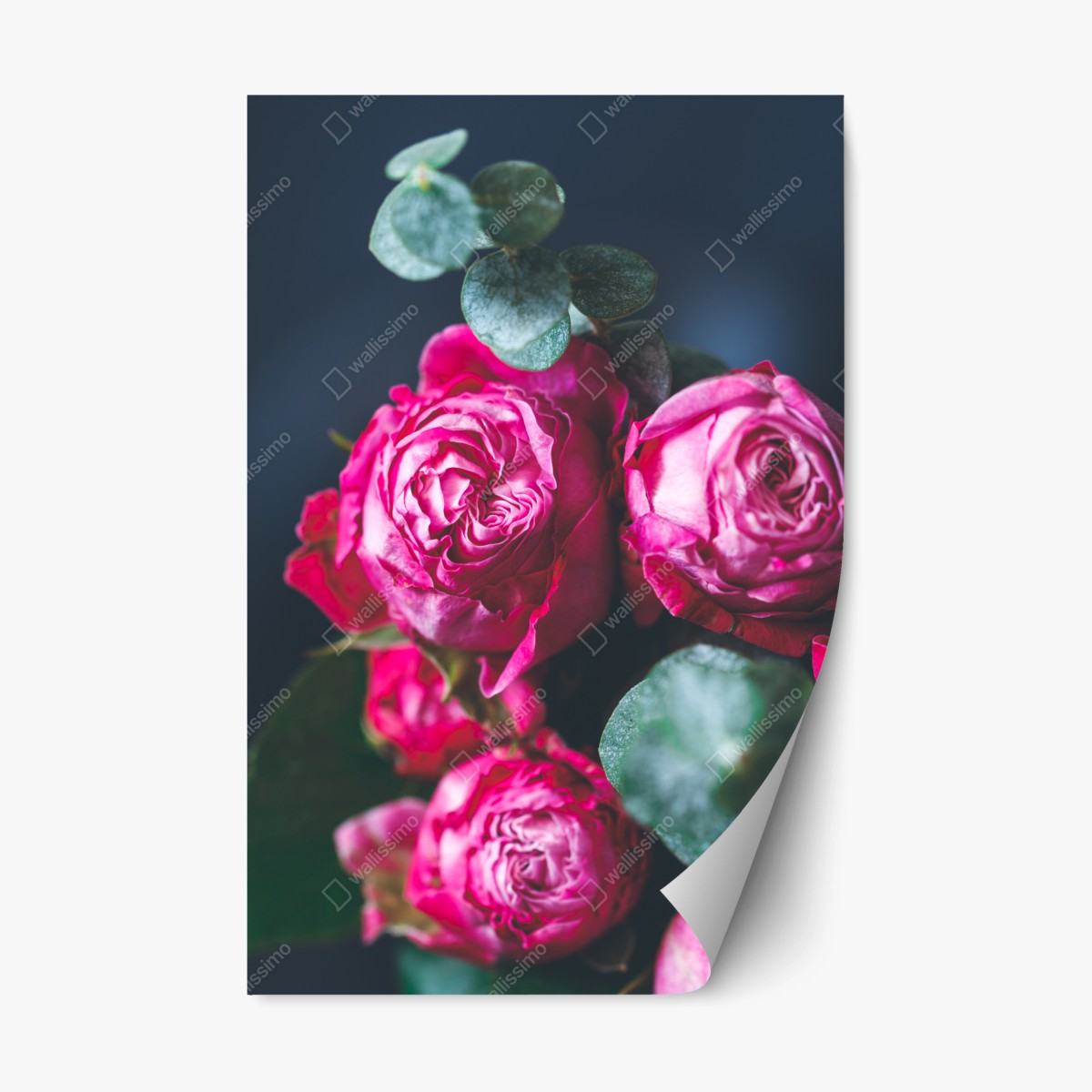 Repositionierbarer Aufkleber rosenbouquet makroaufnahme – Pixers®