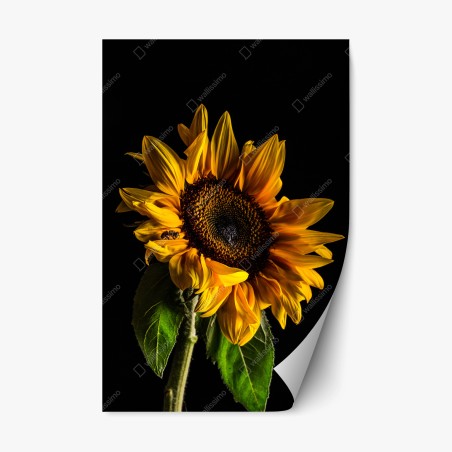 Repositionierbarer Aufkleber goldene sonnenblume in nahaufnahme – Pixers®