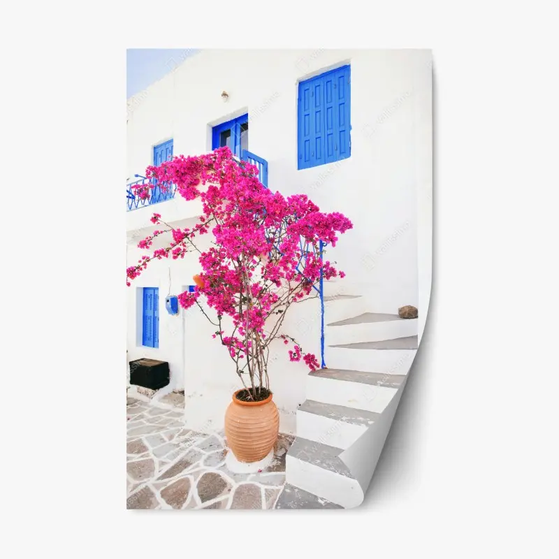 Repositionierbarer Aufkleber rosa bougainvillea vor weißem haus auf griechischer insel