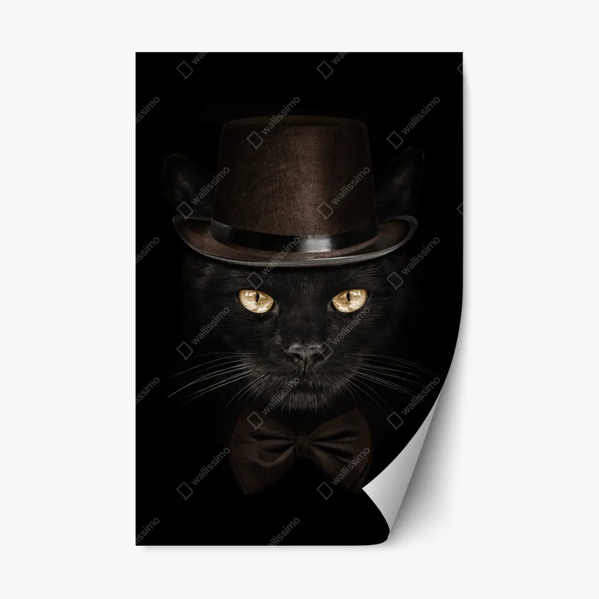 Repositionierbarer Aufkleber elegante schwarze katze mit zylinder und fliege – Pixers®