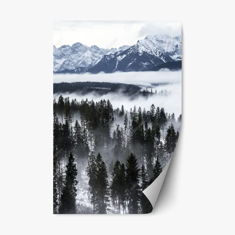Repositionierbarer Aufkleber Tatra im winternebel