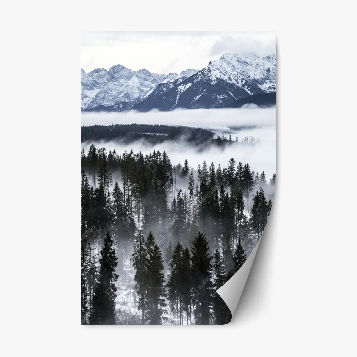 Repositionierbarer Aufkleber Tatra im winternebel – Pixers®