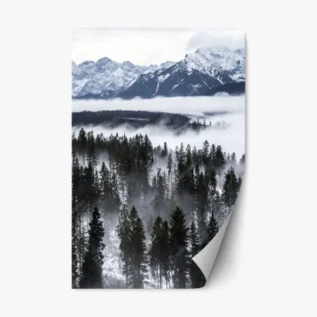 Repositionierbarer Aufkleber Tatra im winternebel – Pixers®