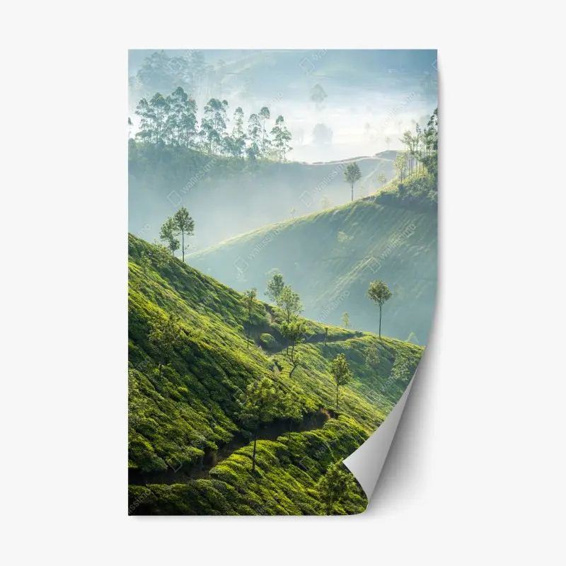Repositionierbarer Aufkleber neblige teeplantagen auf den hügeln von Munnar