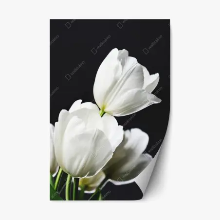 Repositionierbarer Aufkleber weißer tulpenstrauß vor dunklem hintergrund – Pixers®