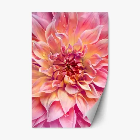 Repositionierbarer Aufkleber rosa dahlie nahaufnahme – Pixers®