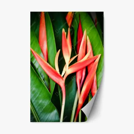 Repositionierbarer Aufkleber leuchtende tropische heliconia-blüten – Pixers®