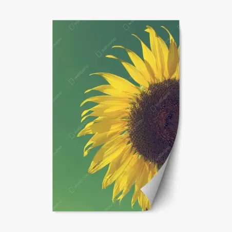 Repositionierbarer Aufkleber strahlende sonnenblume vor vintage-himmel – Pixers®