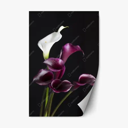 Repositionierbarer Aufkleber elegante violette und weiße callas – Pixers®