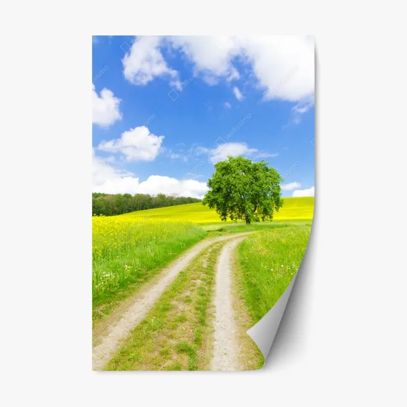 Repositionierbarer Aufkleber sonniger feldweg mit einsamem baum