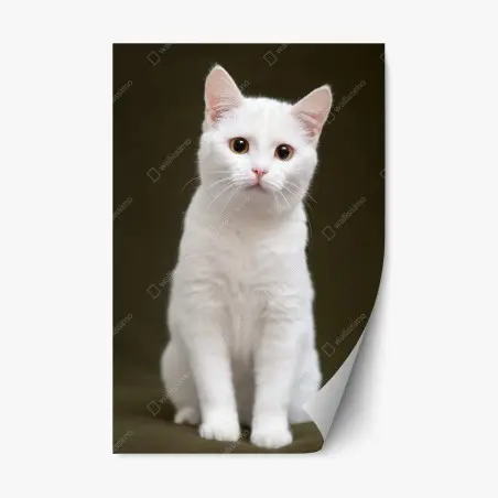 Repositionierbarer Aufkleber niedliches porträt einer weißen katze – Pixers®
