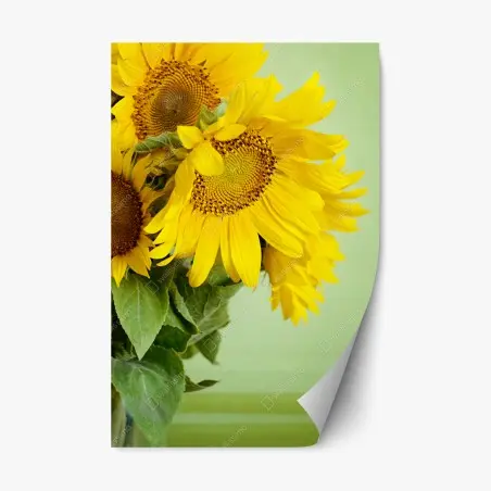 Repositionierbarer Aufkleber heller sonnenblumenstrauß auf grünem hintergrund – Pixers®