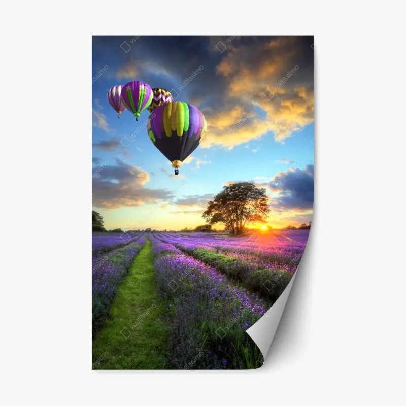 Repositionierbarer Aufkleber lavendersonnenuntergang mit bunten heißluftballons