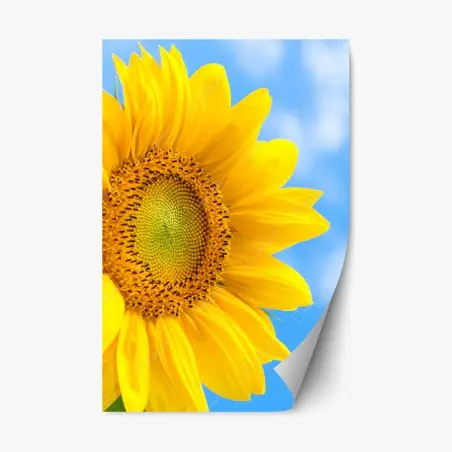 Repositionierbarer Aufkleber leuchtende sonnenblume vor blauem himmel – Pixers®