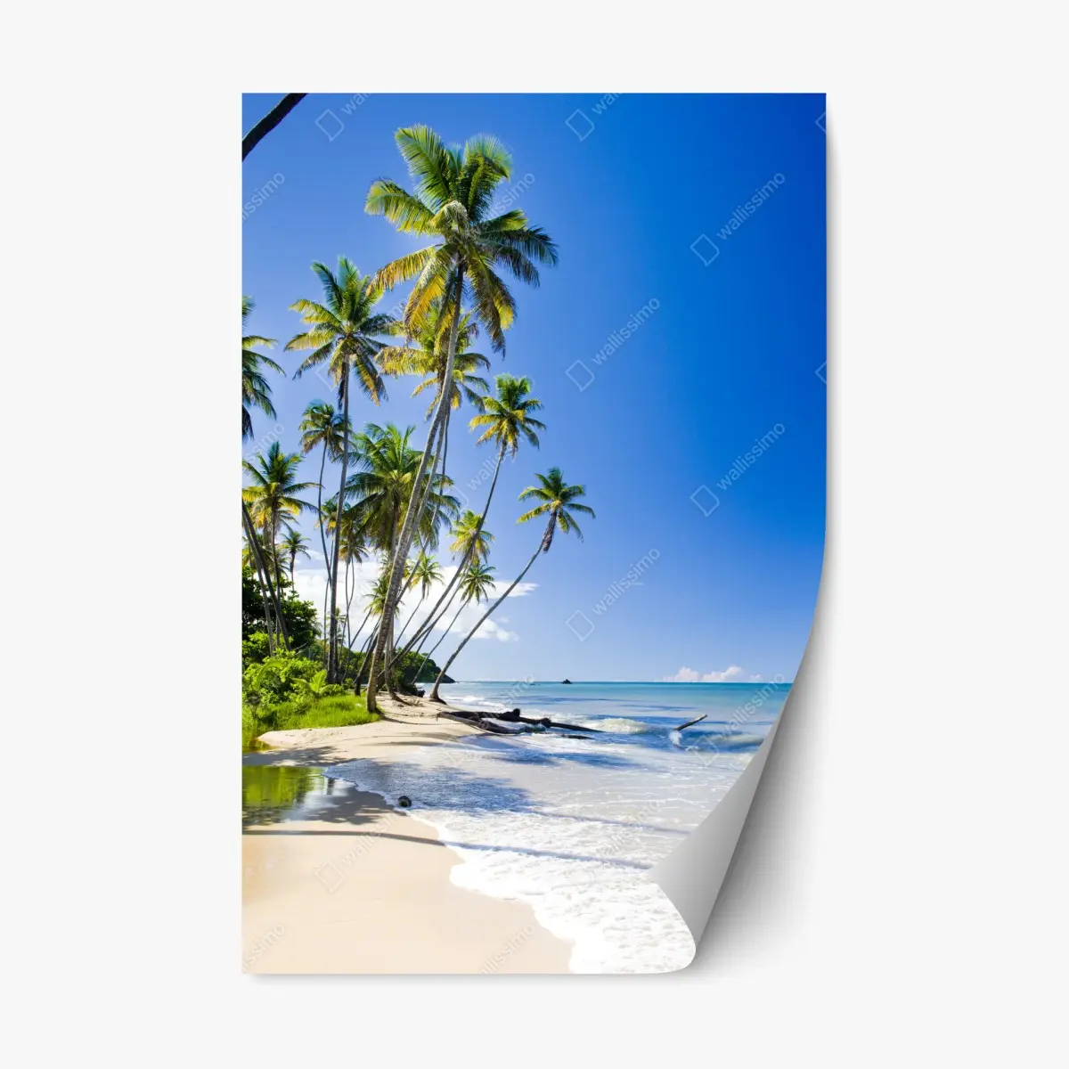 Repositionierbarer Aufkleber tropischer palmenstrand unter blauem himmel – Pixers®