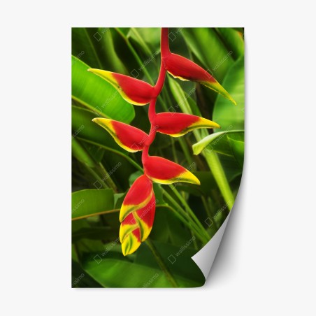 Repositionierbarer Aufkleber leuchtende heliconia im tropischen laub – Pixers®