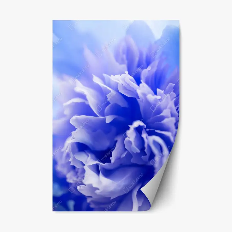 Repositionierbarer Aufkleber sanfte blaue abstrakte blume nahaufnahme