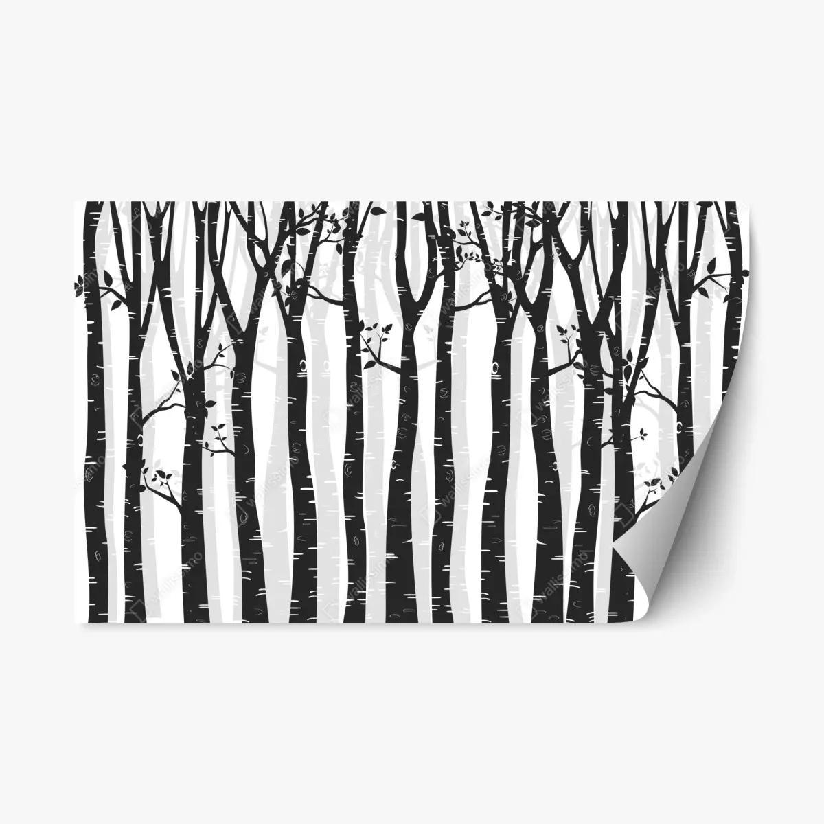 Repositionierbarer Aufkleber monochromatischer birkenwald – Pixers®