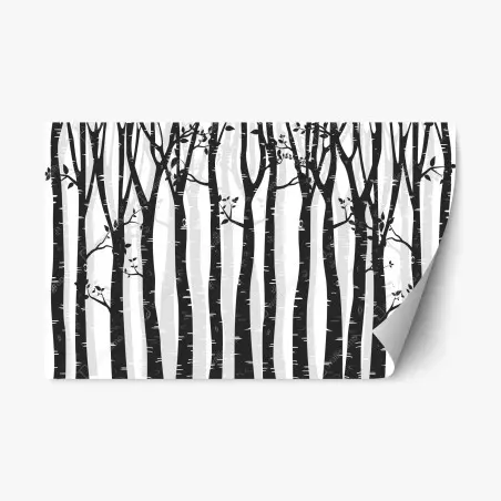 Repositionierbarer Aufkleber monochromatischer birkenwald – Pixers®