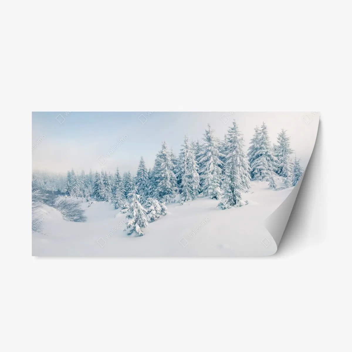 Repositionierbarer Aufkleber winterliche waldpanorama mit schneebedeckten fichten – Pixers®