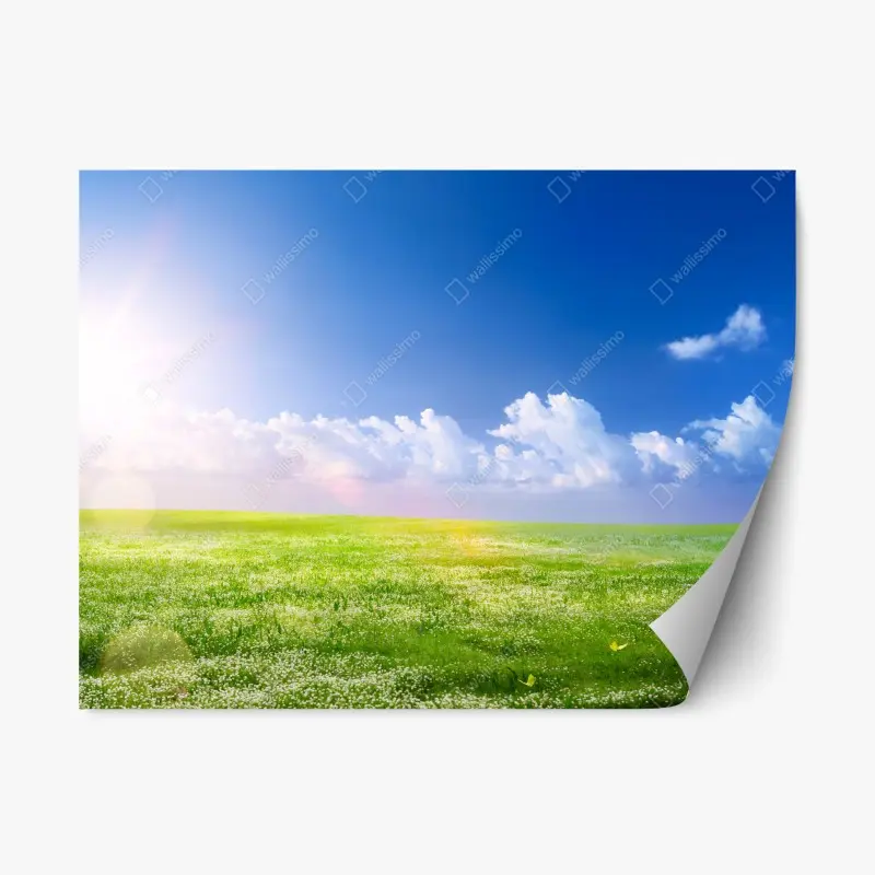Repositionierbarer Aufkleber sonnige frühlingswiese unter blauem himmel