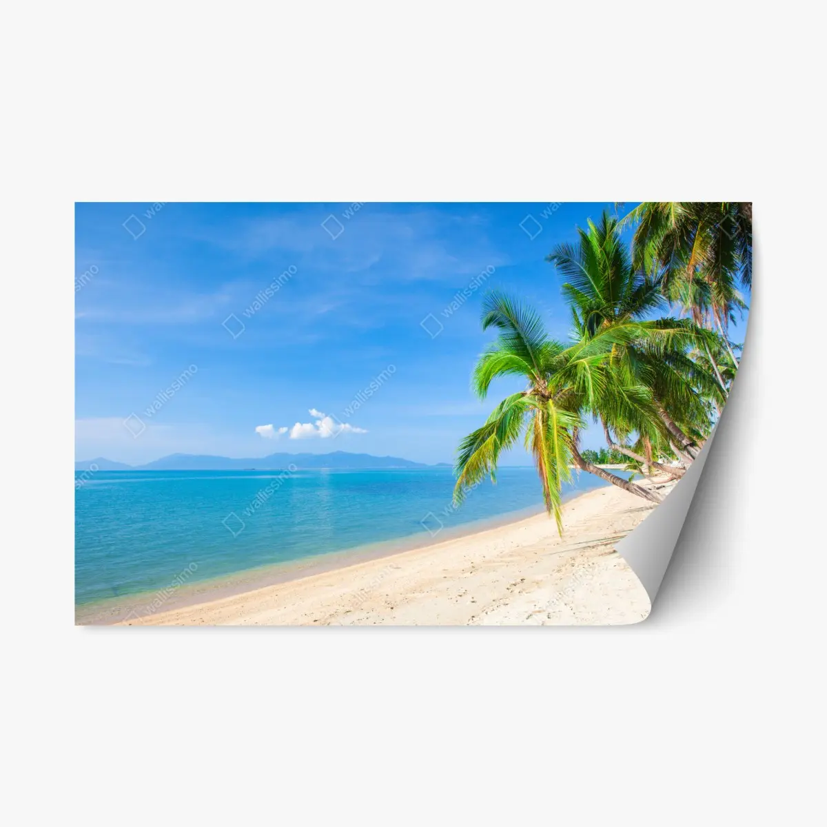 Repositionierbarer Aufkleber tropischer palmenstrand – Pixers®