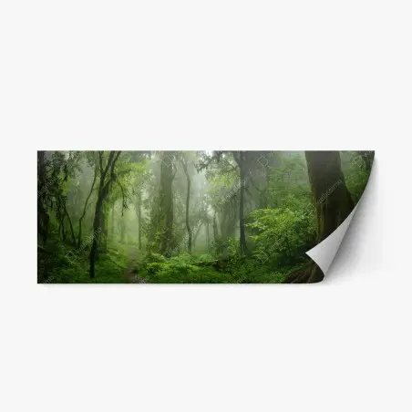 Repositionierbarer Aufkleber nebliger tropischer dschungelpfad – Pixers®