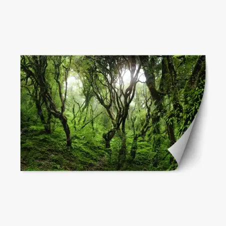 Repositionierbarer Aufkleber mystischer grüner wald – Pixers®