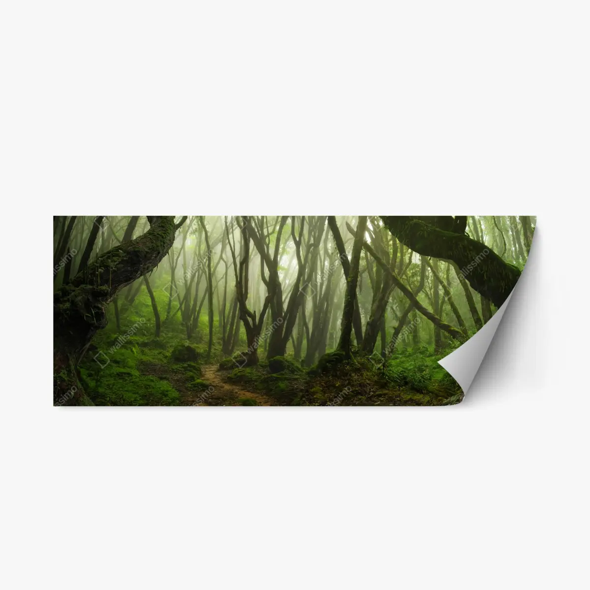 Repositionierbarer Aufkleber nebliger grüner waldpfad – Pixers®