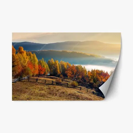 Repositionierbarer Aufkleber nebliger herbstlicher sonnenaufgang auf dem land – Pixers®