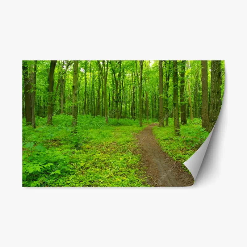 Repositionierbarer Aufkleber beruhigender grüner waldweg