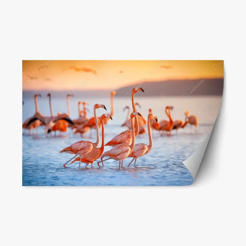Repositionierbarer Aufkleber rosa flamingos bei sonnenuntergang