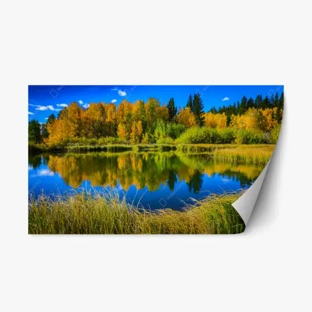 Repositionierbarer Aufkleber herbstbäume spiegeln sich in einem ruhigen see – Pixers®