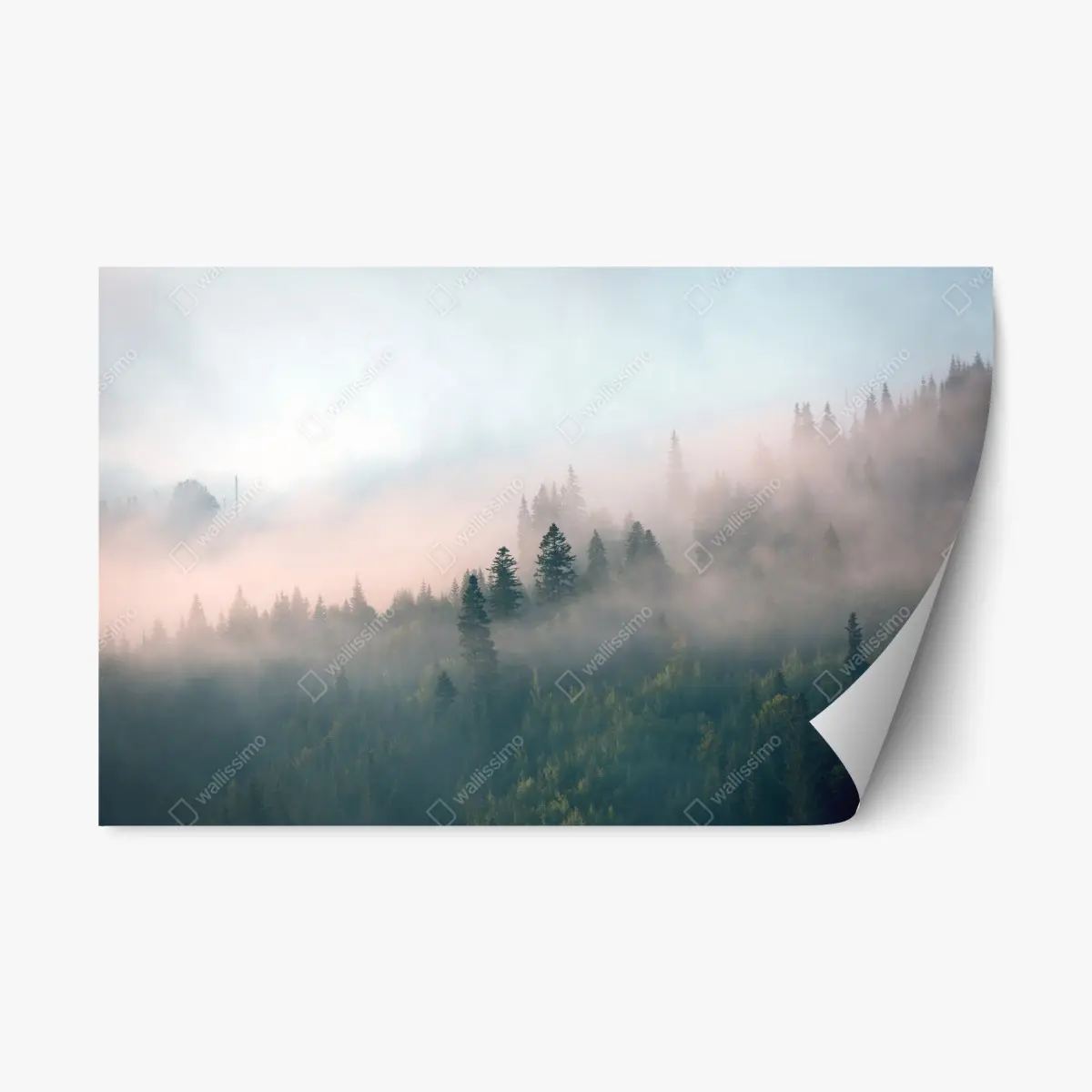 Repositionierbarer Aufkleber nebliger morgenwald – Pixers®