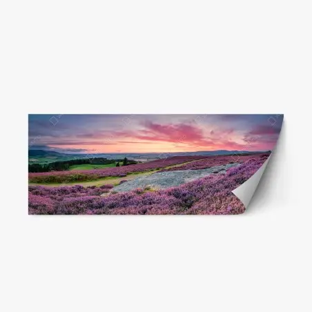 Repositionierbarer Aufkleber violette heideflächen bei sonnenuntergang – Pixers®