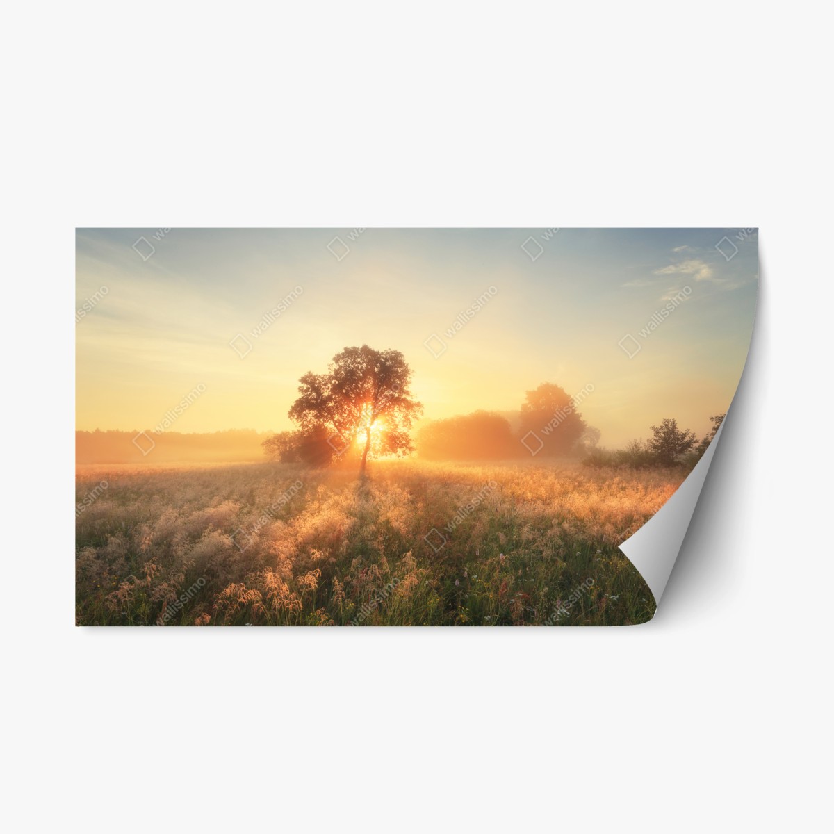 Repositionierbarer Aufkleber goldener sonnenaufgang über nebliger wiese – Pixers®