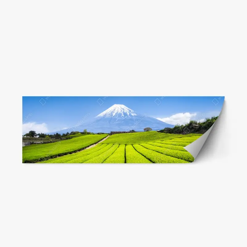 Repositionierbarer Aufkleber üppige teefelder am fuß von Mount Fuji