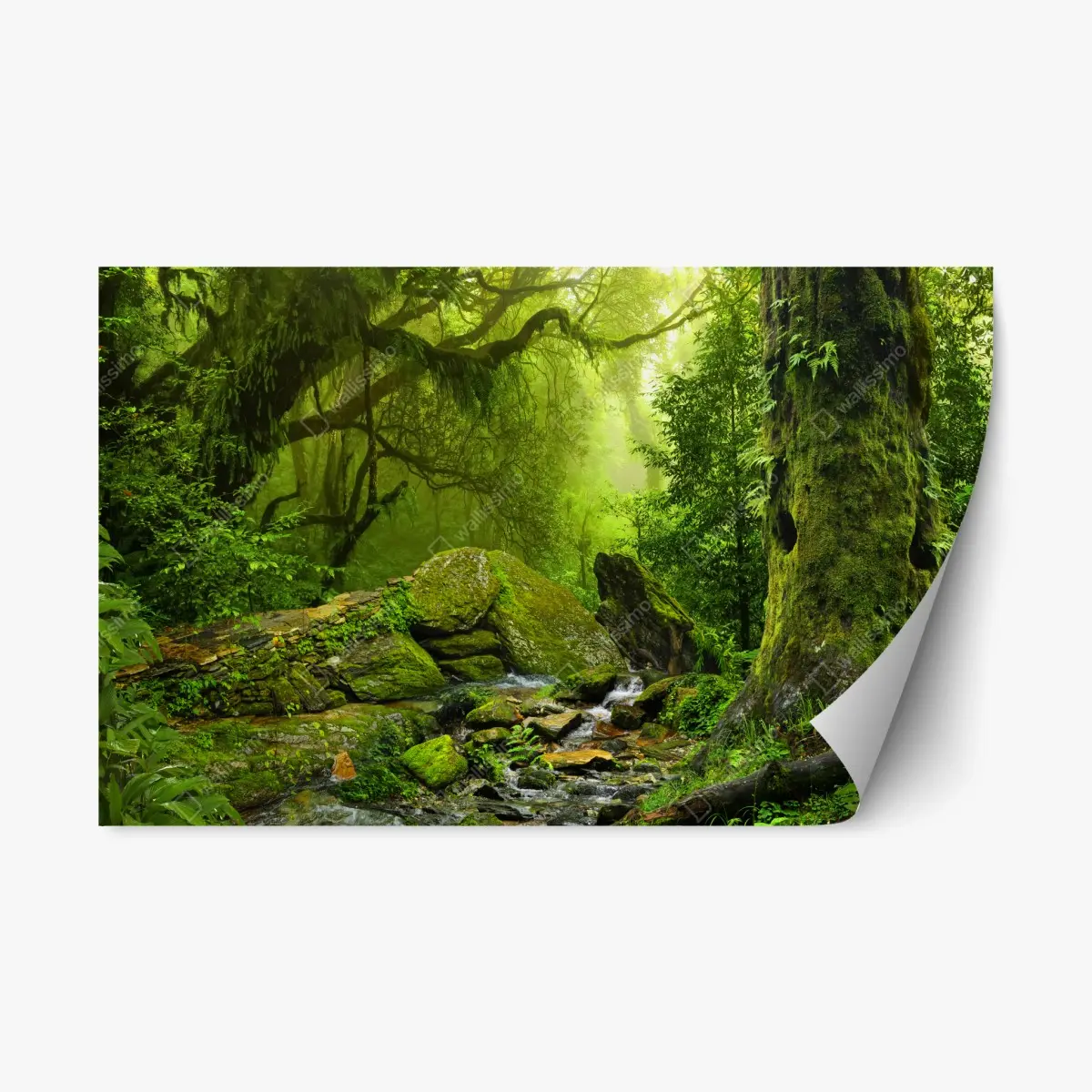 Repositionierbarer Aufkleber moosbedeckter waldbach – Pixers®