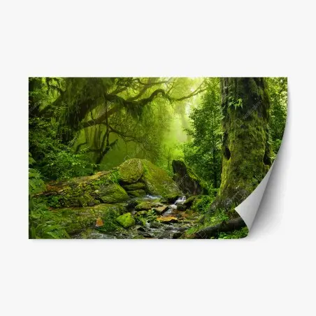 Repositionierbarer Aufkleber moosbedeckter waldbach – Pixers®