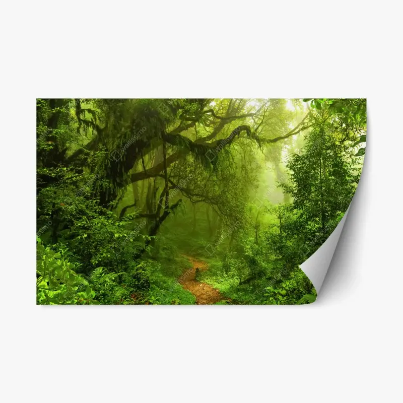 Repositionierbarer Aufkleber üppiger grüner waldpfad