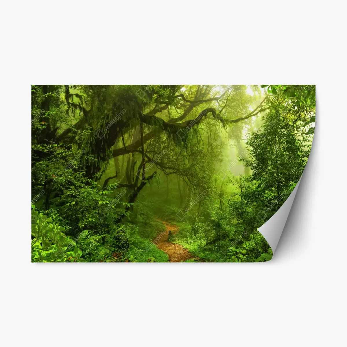 Repositionierbarer Aufkleber üppiger grüner waldpfad – Pixers®