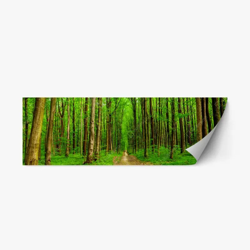 Repositionierbarer Aufkleber grüner waldweg im frühling