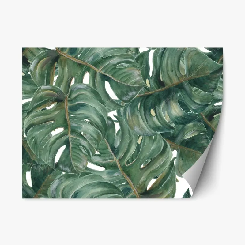 Repositionierbarer Aufkleber monstera blätter in aquarell