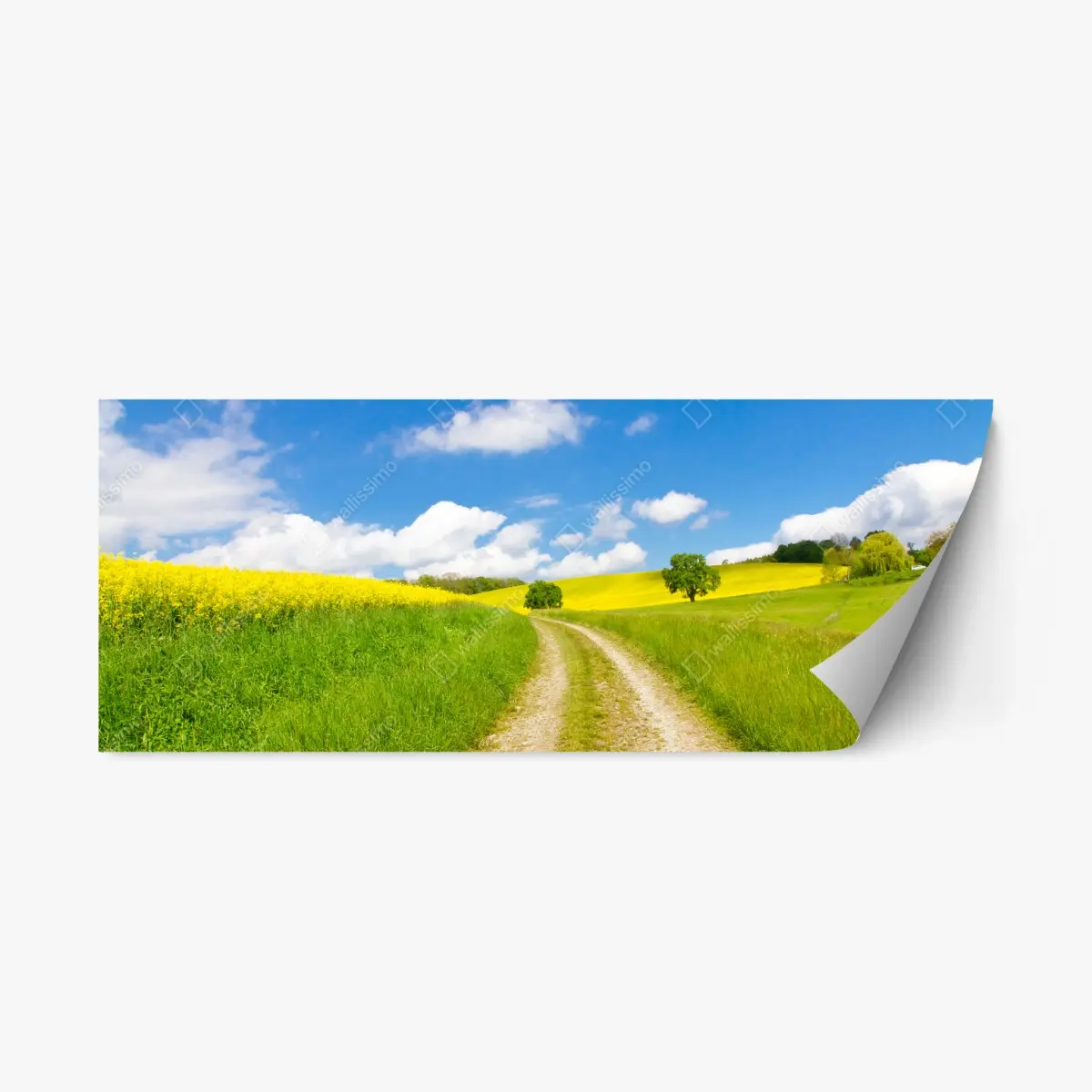Repositionierbarer Aufkleber sonniger landeweg durch gelbe felder – Pixers®